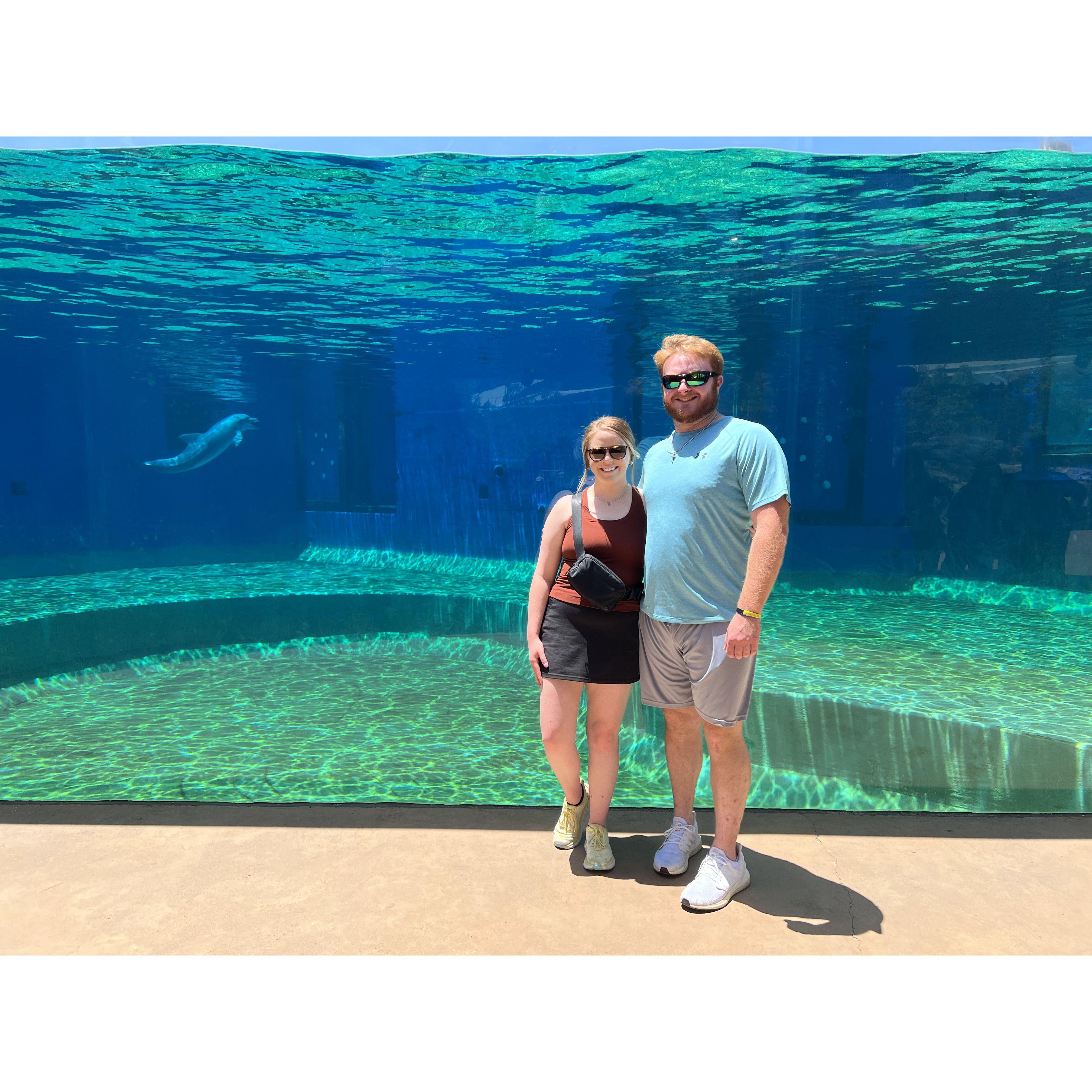 One of our favorite day trips down to the MS aquarium.