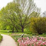The Arboretum, State Botanical Garden of Kentucky