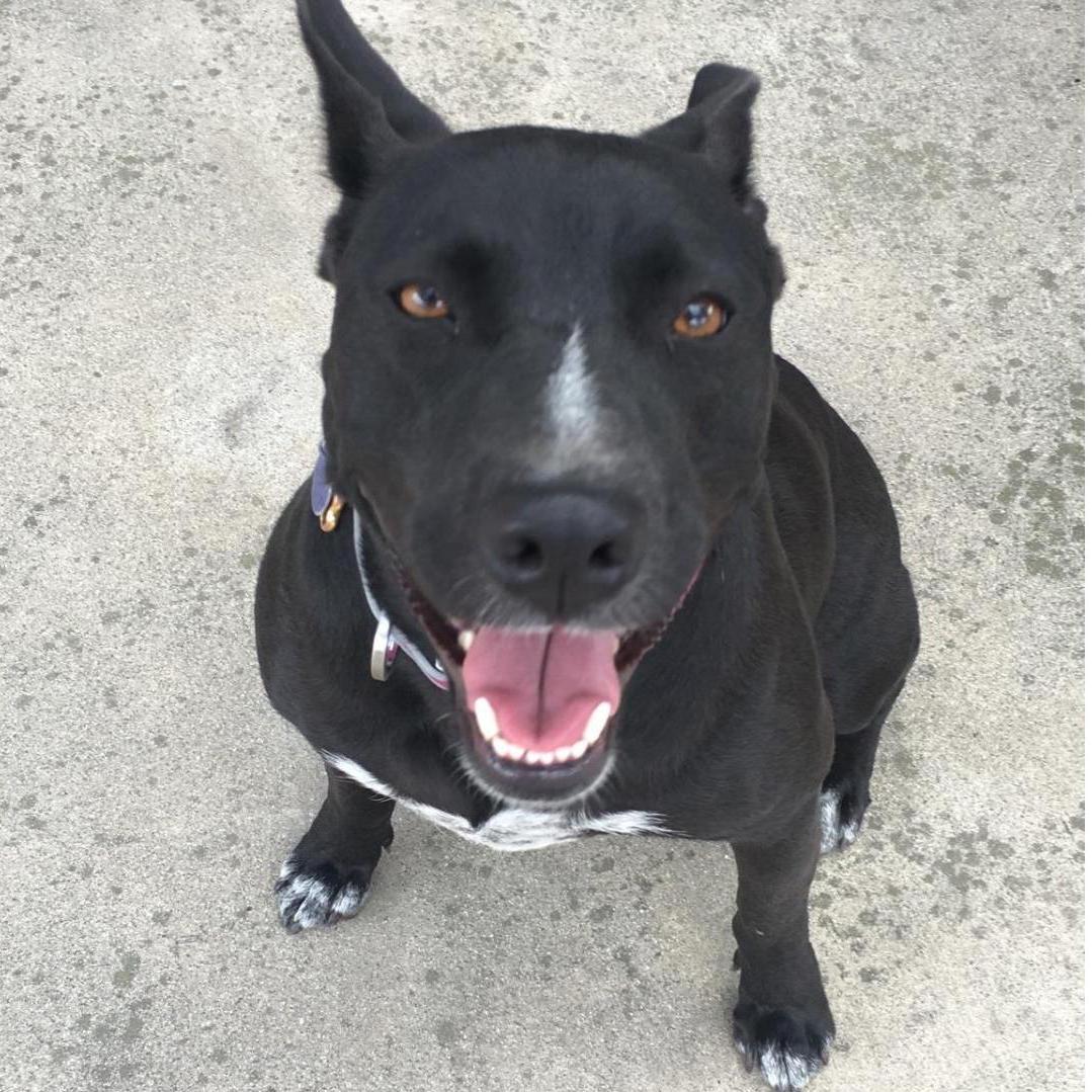 Sasha.