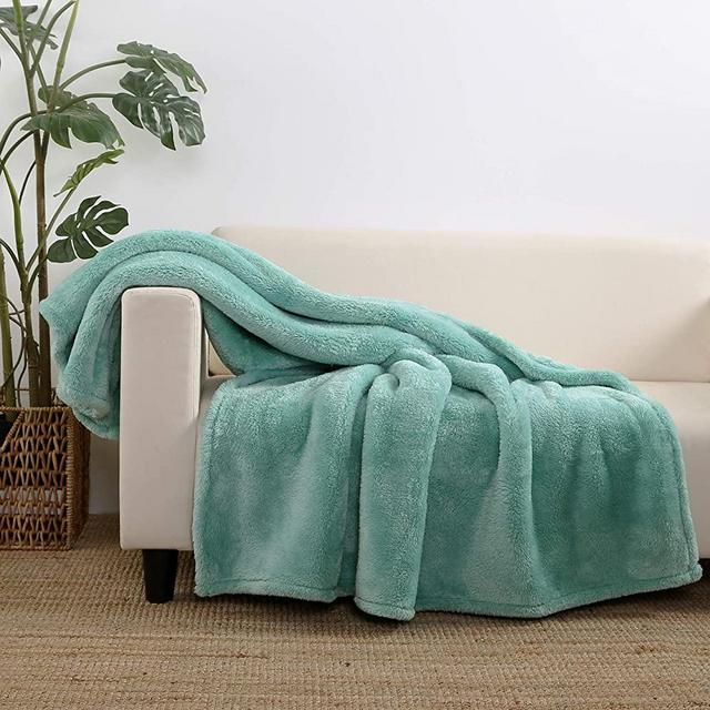 Berkshire Blanket Extra-Fluffy Throw Blanket | Ultra-Soft Plush Throw | Lightweight Warmth| Light Teal | 55" x 70"