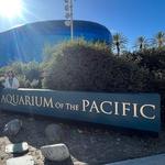 Aquarium of the Pacific