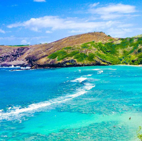 Our Hawaii Honeymoon Fund
