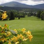 Stamford Golf Club
