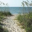 Enjoy Edisto Beach