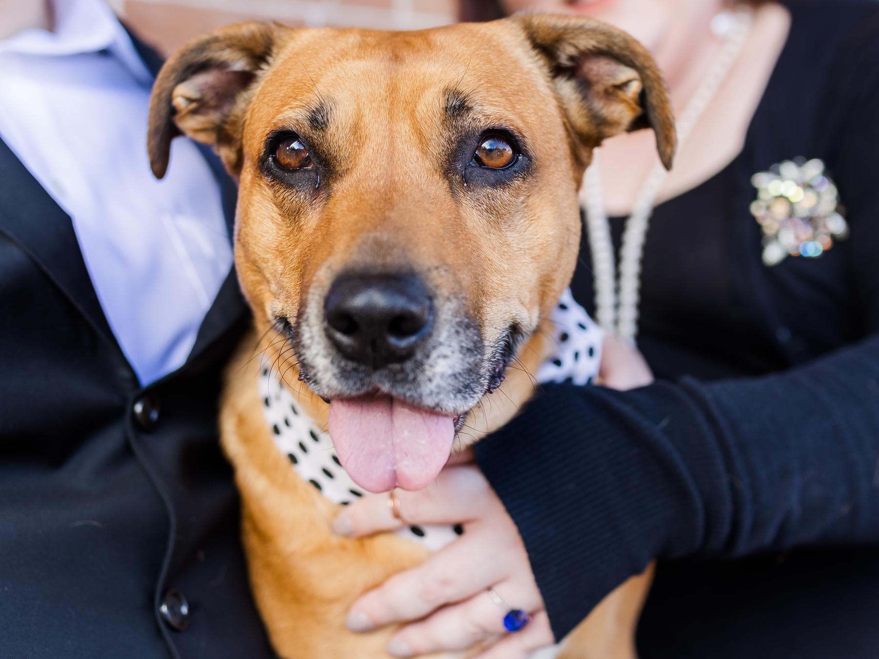 The Wedding Website of Lauren Ishee and Phillip Neider-Ball