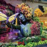 Bellagio Conservatory & Botanical Gardens