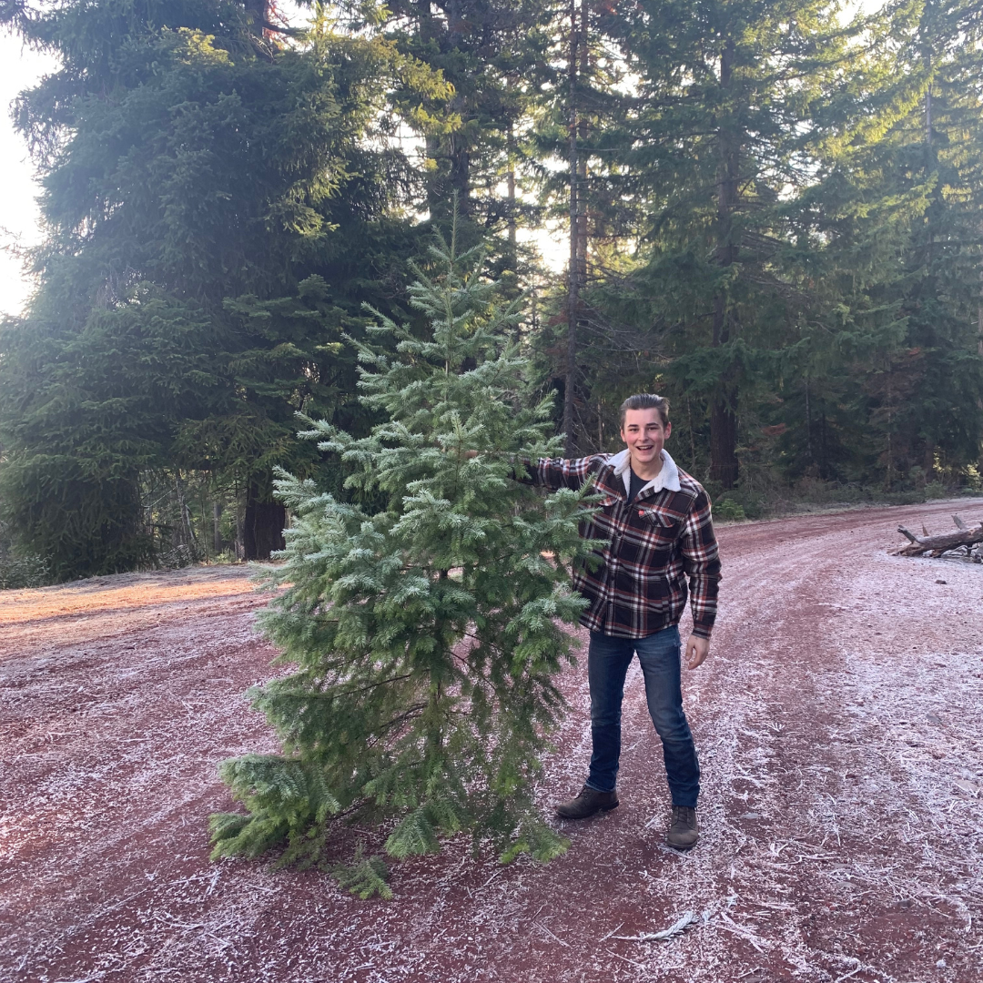 Our first christmas tree cutting 2023. I developed an allergic reaction to the cold during this and my hands became super swollen.