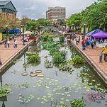 Carroll Creek Park