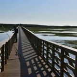 Sandwich Boardwalk