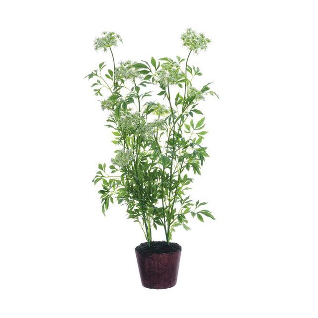 Faux Queen Anne's Lace Plant, 41"