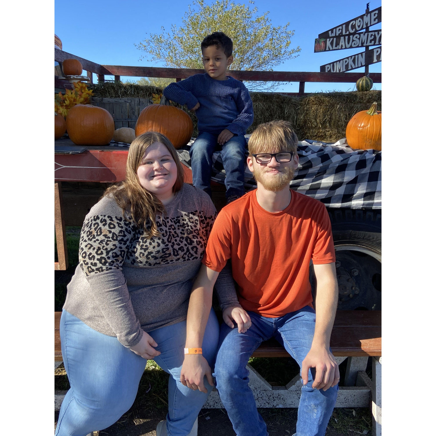 Pumpkin patch