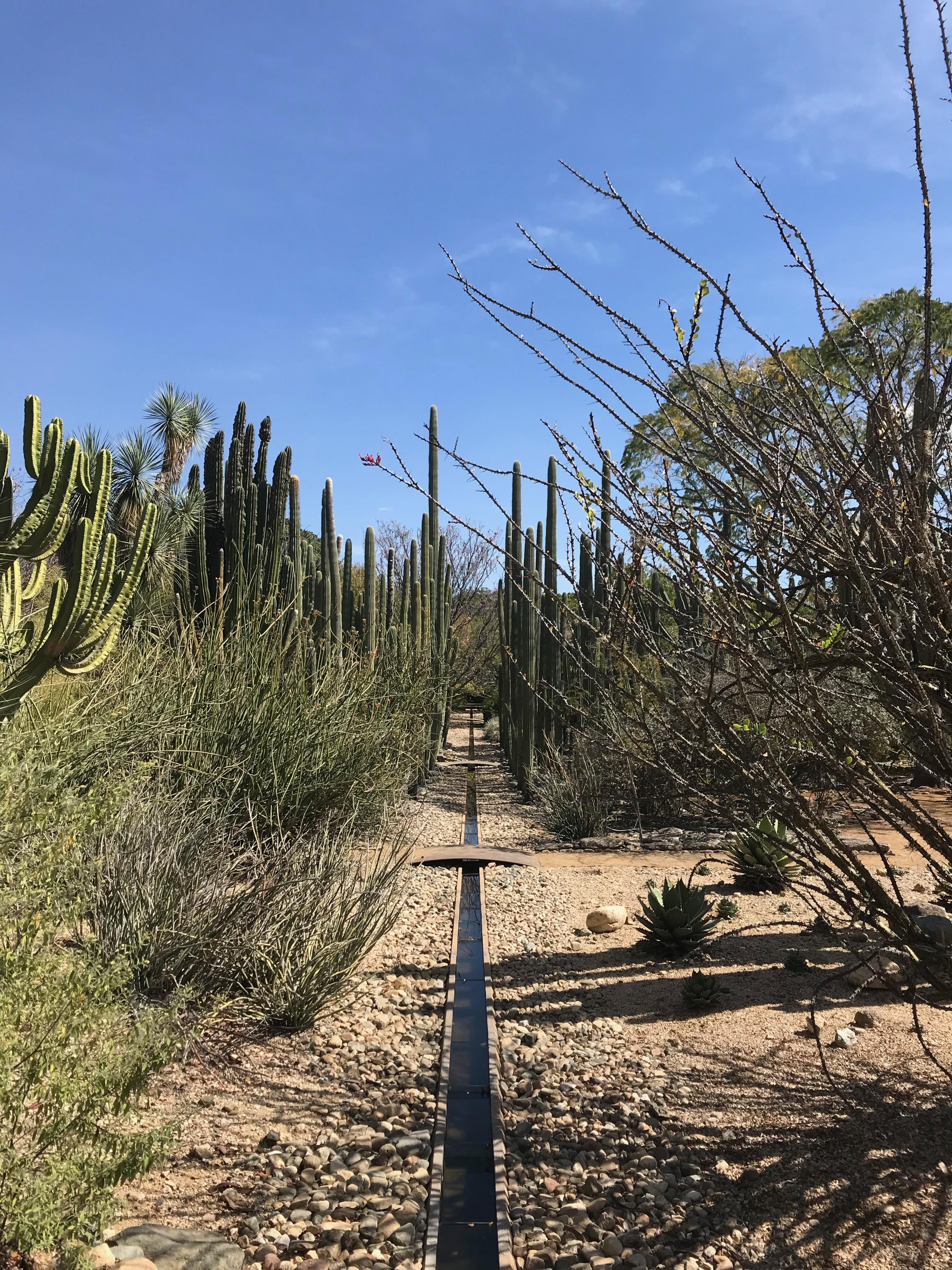 The Wedding Website of Risa Monsen and Michael Lavery