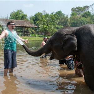 Honeymoon Elephant Experience