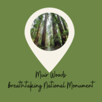 Muir Woods Road