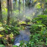 Fairchild Tropical Botanic Garden