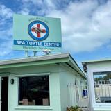 Turtle Hospital