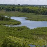 Terrapin Nature Park and Beach