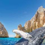 Off Resort Activities