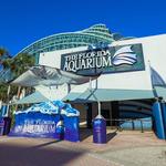 The Florida Aquarium
