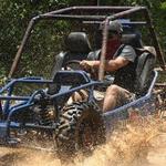 Wild Tiger Buggies