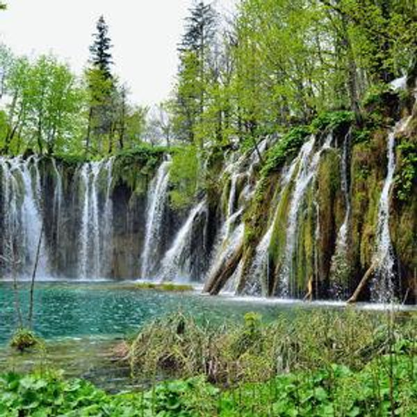 Explore Plitvice Lakes National Park, Croatia