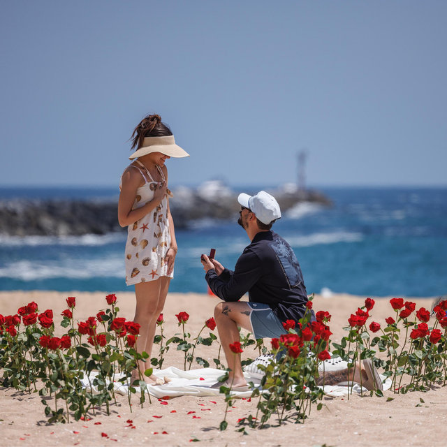 Honeymoon in Maui