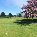 Driving Range and 9-hole Golf Course at Poxabogue Golf Course