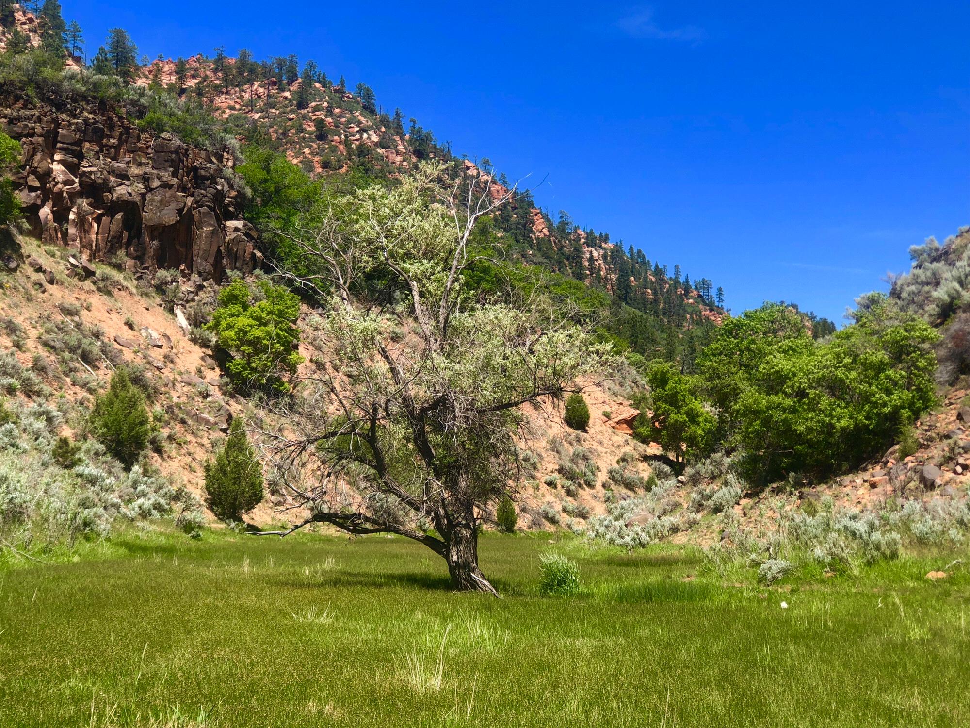 Zion National Park, UT