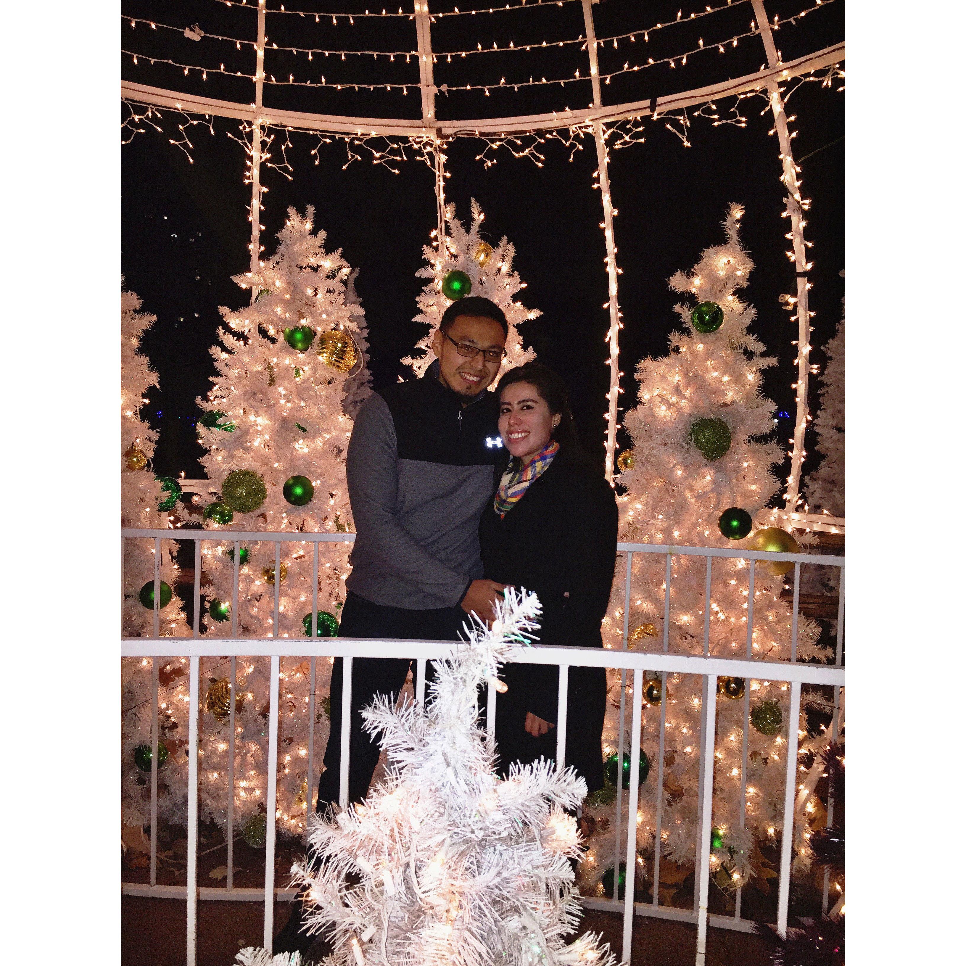 2017 - Our first date at the Lincoln Park Zoo lights in December