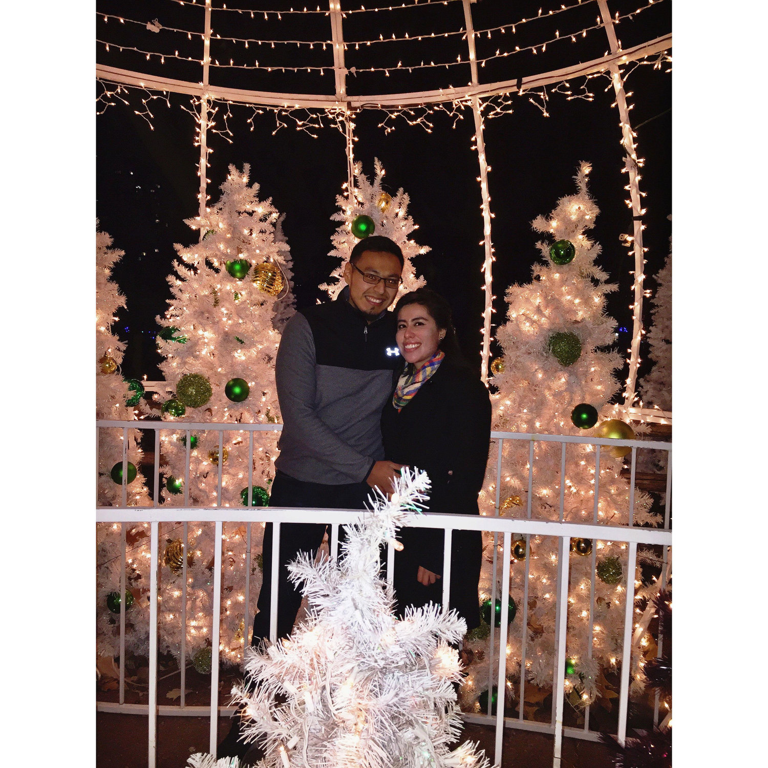 2017 - Our first date at the Lincoln Park Zoo lights in December