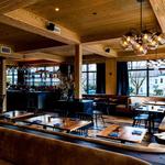 Hen of the Wood - Waterbury