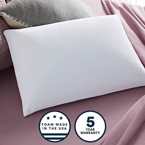 Sleep Innovations Classic Memory Foam Queen Size Pillow with Breathable Knit Cover, Made in The USA with a 5 Year Warranty