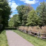 Loantaka Brook Reservation Trail