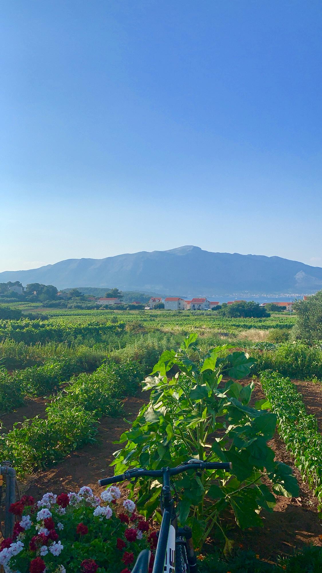 Korcula