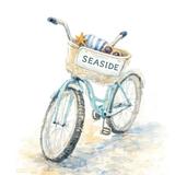 Bike Rentals