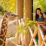 Omaha's Henry Doorly Zoo and Aquarium