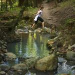 Bartholomew Winery Trail