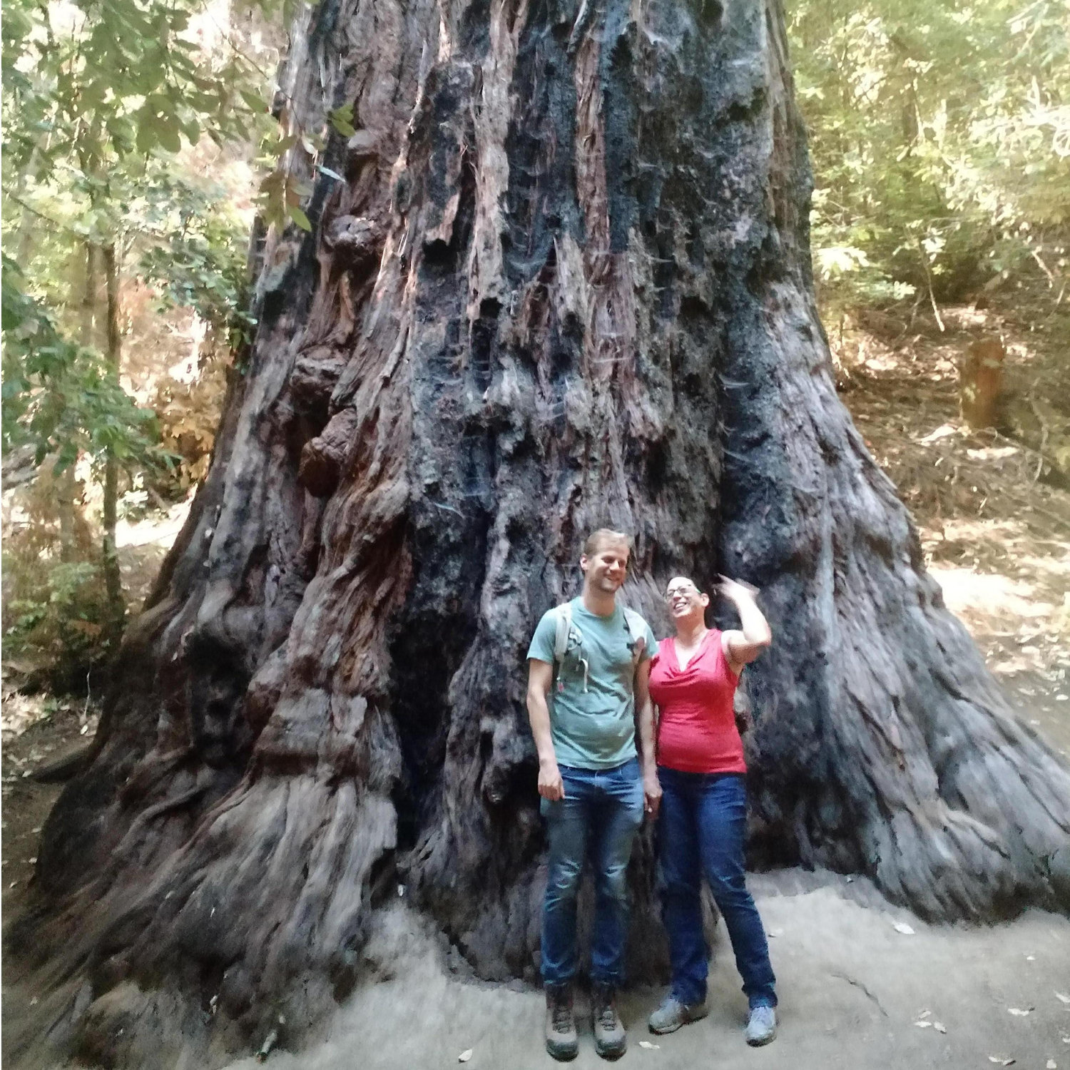 Wedding spoiler: redwoods