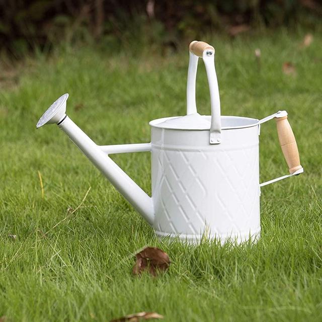 HORTICAN Galvanized Watering Can Modern Style Watering Pot with Handle and Rosehead for Outdoor and Indoor House Plants(1 gal/White)