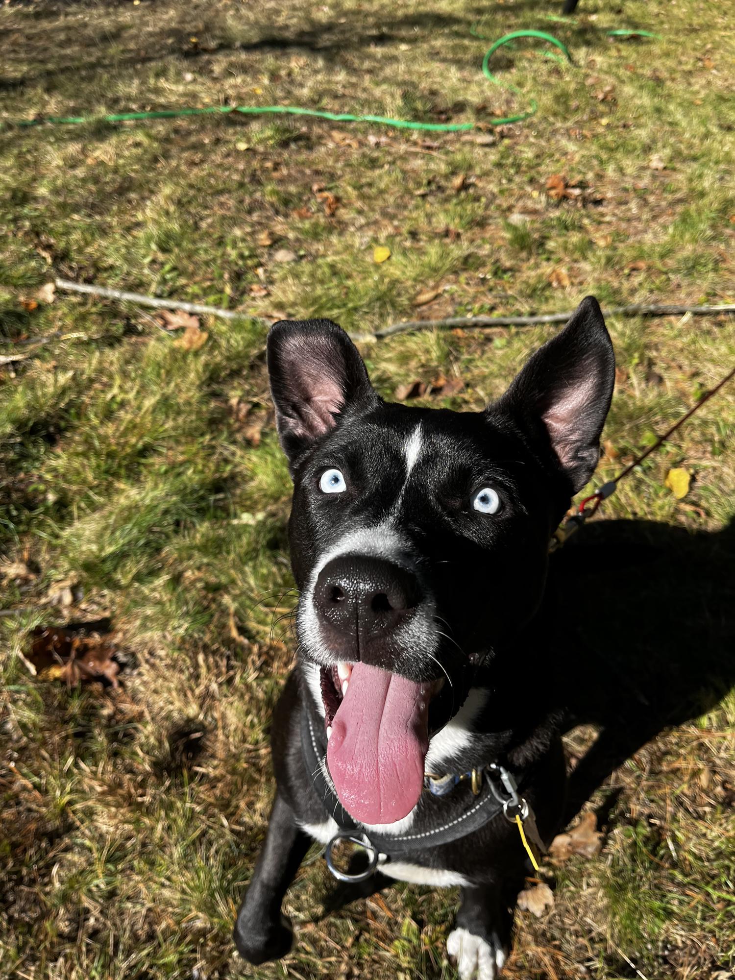 Miss Zoey