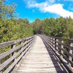 Virginia Creeper National Recreation Trail