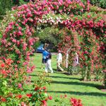 Elizabeth Park Rose Garden