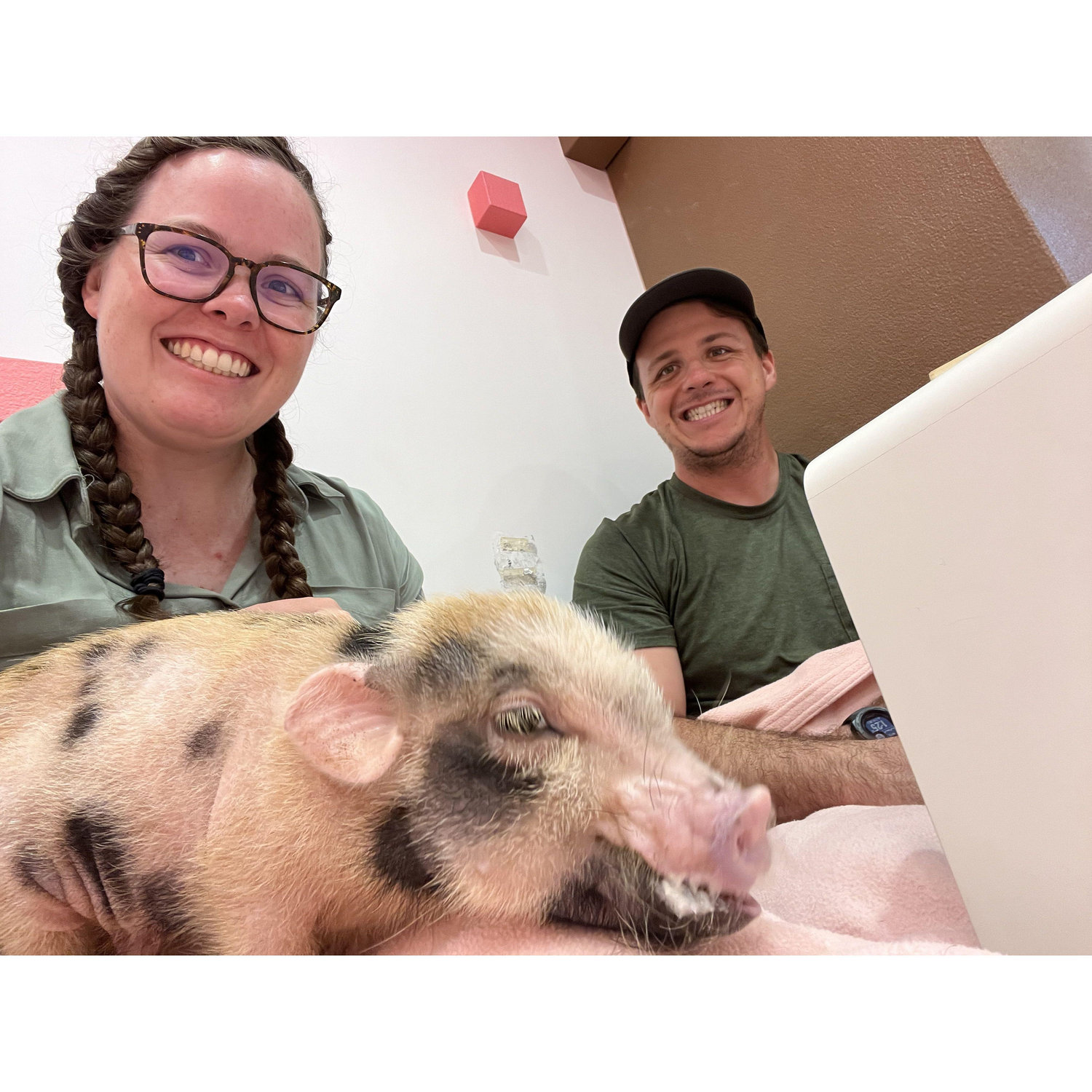 Pig Cafe in Tokyo