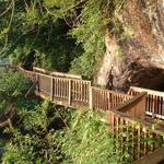 Ijams Nature Center