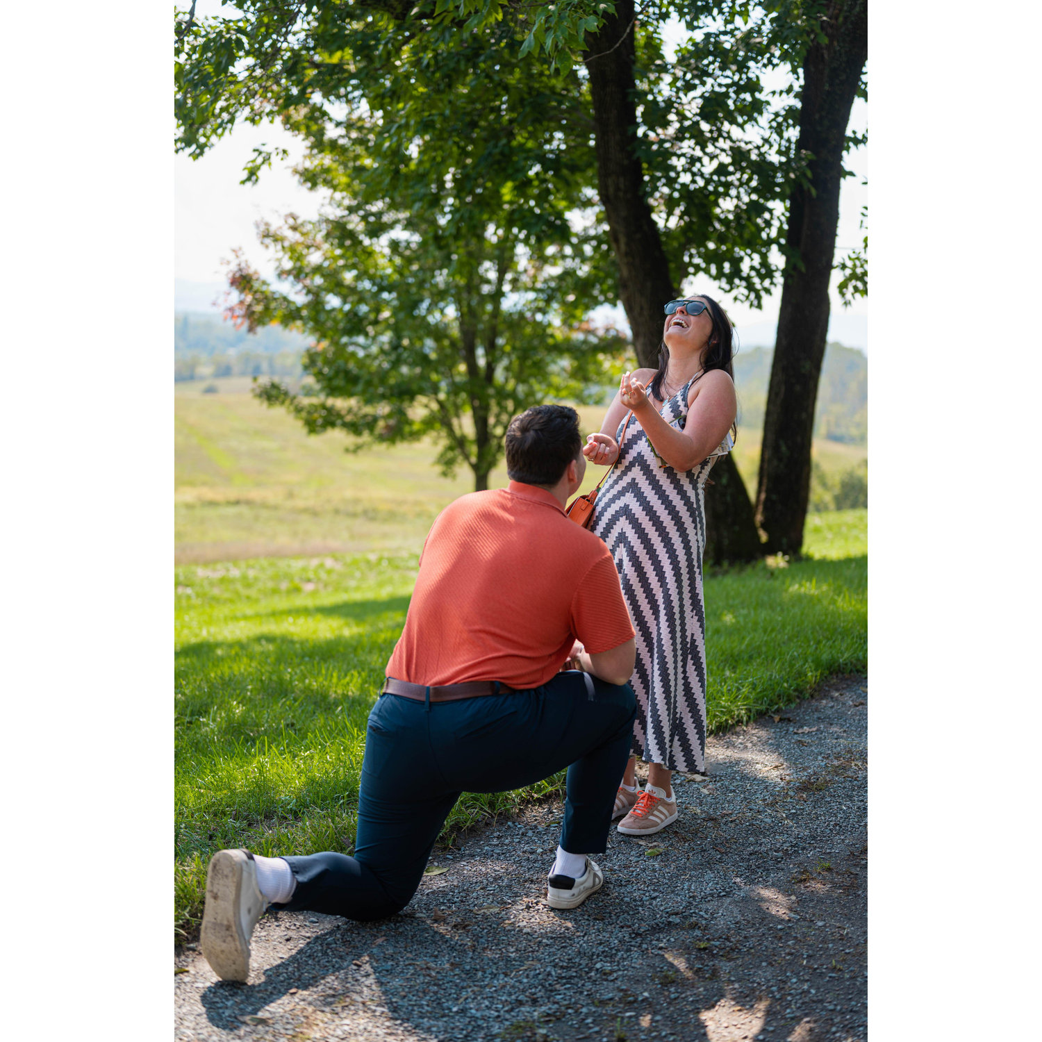 Getting engaged at Chiswell Farm & Winery