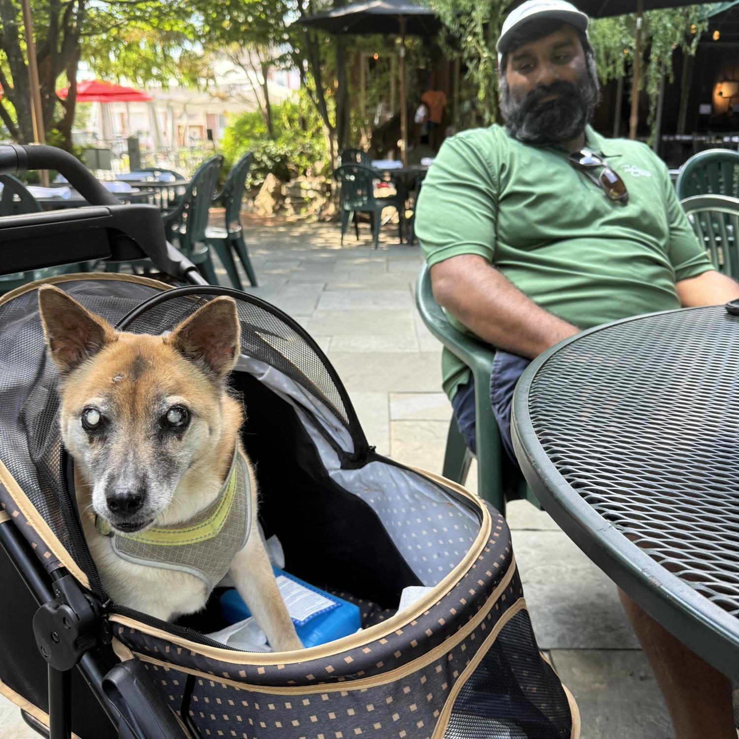 Jassa was inexperienced with dog ownership before Wu came along. Wu Tang was Colleen’s college dog with the sweetest disposition (and tenacious desire to steal all the people food). She is missed