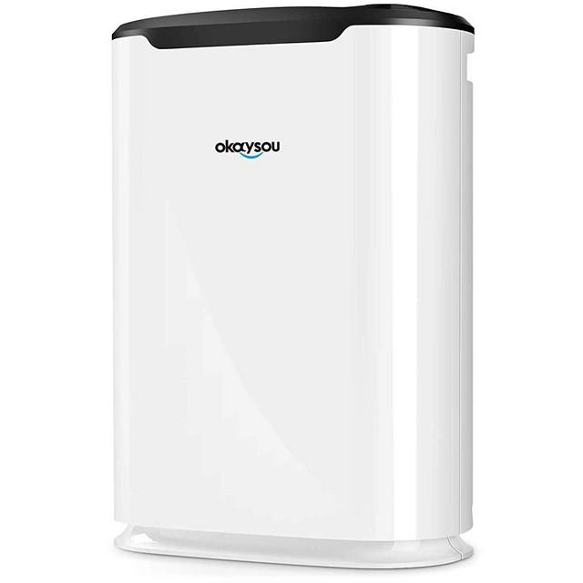 Okaysou AirMax8L Medical Grade Ultra-Duo Air Purifier for Pets, Smokers, Odors, 5-in 1 Extra-Large Room Air Cleaner, True HEPA Filter, Eliminates Pet Hair, Smoke, Dust, Pollen, VOCs,500 Sq. Ft.- White