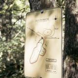 Fallison Lake Nature Trail