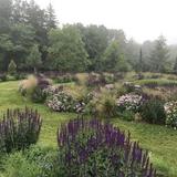 Mountain Top Arboretum