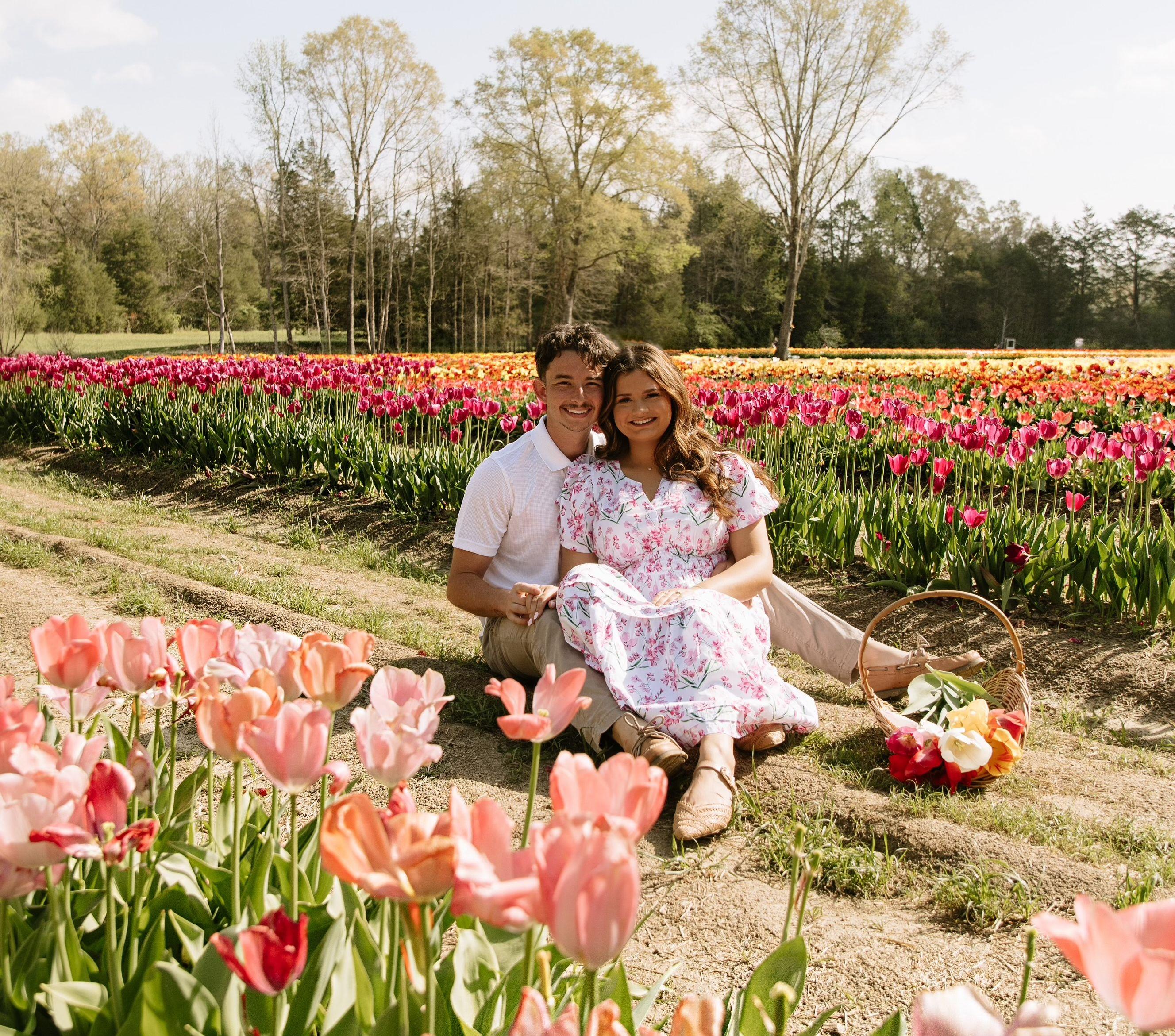 fffdbf78-d88d-4d77-8d56-ab42baf747b4